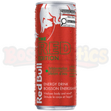 Red Bull Energy Drink Watermelon (250ml) : Canadian